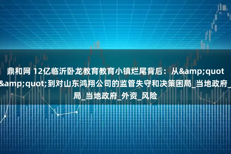 鼎和网 12亿临沂卧龙教育教育小镇烂尾背后：从&quot;极速审批&quot;到对山东鸿翔公司的监管失守和决策困局_当地政府_外资_风险