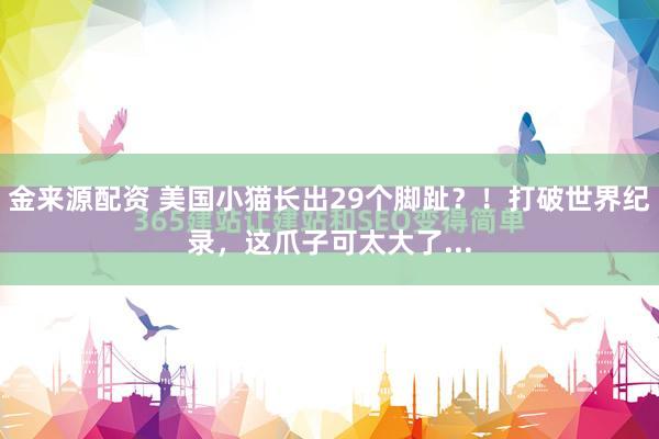 金来源配资 美国小猫长出29个脚趾？！打破世界纪录，这爪子可太大了...